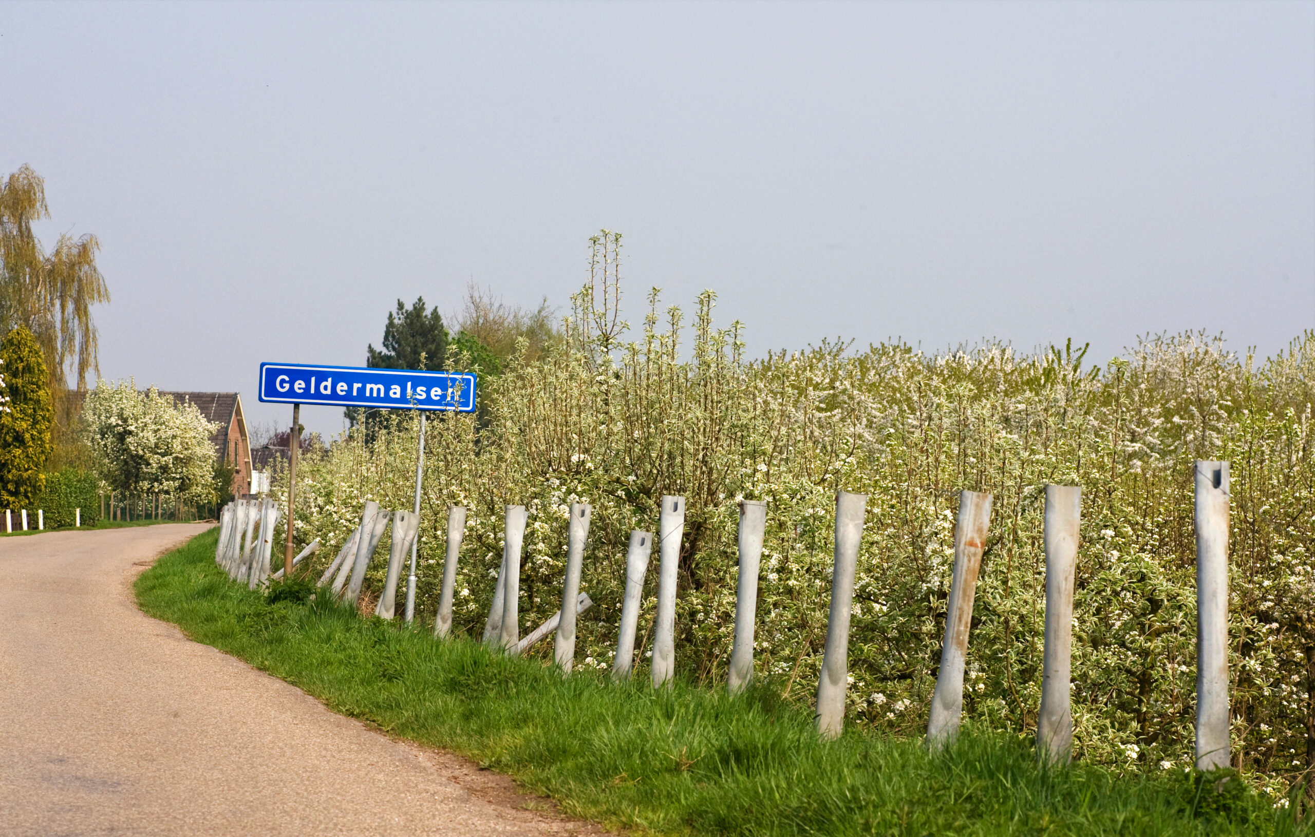Fruitbomen; Orchards